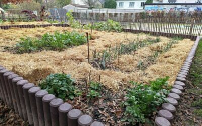 Préparation du jardin pour l’hiver