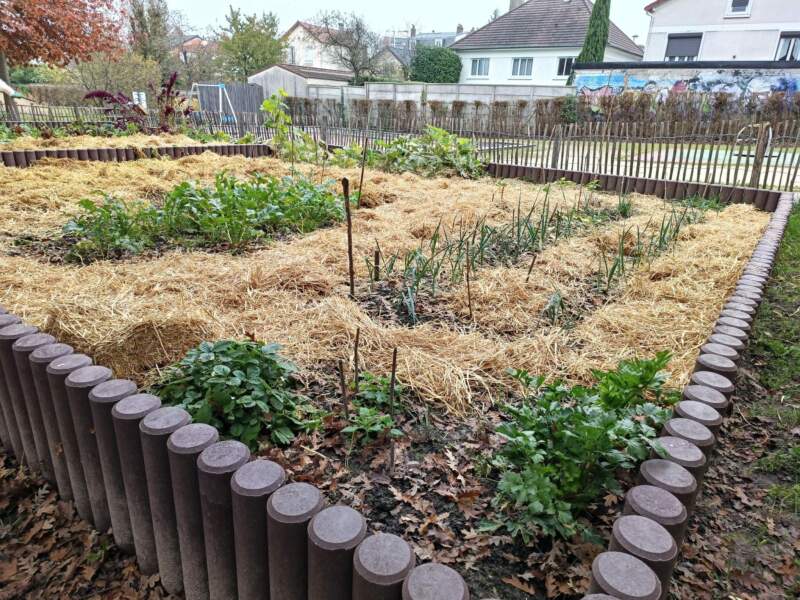 Préparation du jardin pour l’hiver