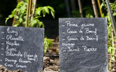 18 mai 2025 – Ouverture second espace Potager à la Villa Michot