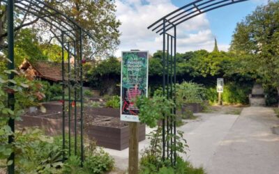 Reprise de la saison jardinage 2026